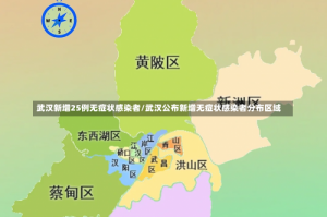 武汉新增25例无症状感染者/武汉公布新增无症状感染者分布区域
