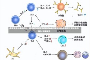 病毒变异与免疫博弈，解码核酸转阴滞后背后的科学密码感染者有症状后核酸仍阴性 专家解读