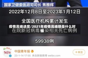 疫情高峰进度/2021年疫情高峰期是什么时候