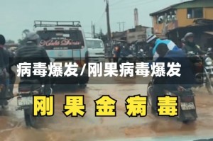 病毒爆发/刚果病毒爆发
