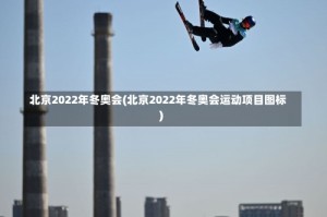 北京2022年冬奥会(北京2022年冬奥会运动项目图标)