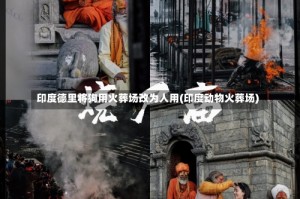 印度德里将狗用火葬场改为人用(印度动物火葬场)