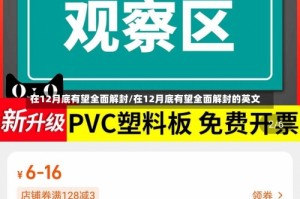 在12月底有望全面解封/在12月底有望全面解封的英文