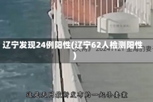 辽宁发现24例阳性(辽宁62人检测阳性)