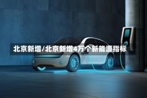 北京新增/北京新增4万个新能源指标
