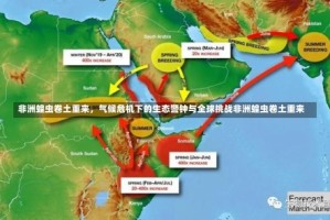 非洲蝗虫卷土重来，气候危机下的生态警钟与全球挑战非洲蝗虫卷土重来