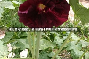逆行者与守望者，银川疫情下的城市韧性觉醒银川疫情