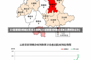 31省新增4例确诊无本土病例(31省新增4例确诊无本土病例怎么办)
