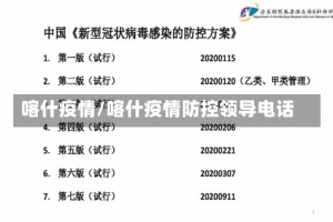 喀什疫情/喀什疫情防控领导电话