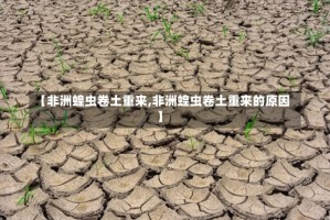 【非洲蝗虫卷土重来,非洲蝗虫卷土重来的原因】