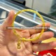 【现在买黄金合适吗,现在买黄金合适吗?什么时候买黄金最合适?】