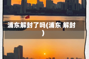 浦东解封了吗(浦东 解封)