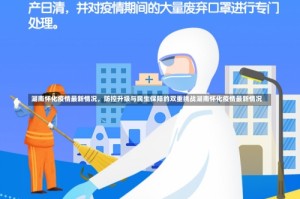 湖南怀化疫情最新情况，防控升级与民生保障的双重挑战湖南怀化疫情最新情况