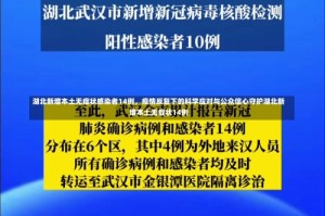 湖北新增本土无症状感染者14例，疫情反复下的科学应对与公众信心守护湖北新增本土无症状14例