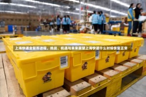 上海快递业复苏进程，挑战、机遇与未来展望上海快递什么时候恢复正常