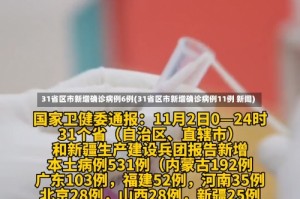 31省区市新增确诊病例6例(31省区市新增确诊病例11例 新闻)