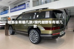 越野车有哪几款/现代越野车有哪几款