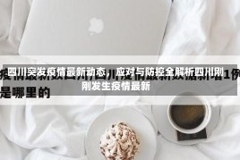四川突发疫情最新动态，应对与防控全解析四川刚刚发生疫情最新
