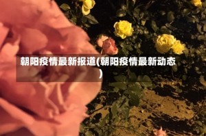 朝阳疫情最新报道(朝阳疫情最新动态)