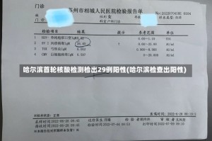 哈尔滨首轮核酸检测检出29例阳性(哈尔滨检查出阳性)