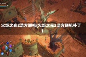 火炬之光2浩方联机(火炬之光2浩方联机补丁)