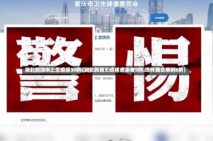 湖北新增本土无症状30例(湖北新增无症状感染者9例,现有确诊病例6例)