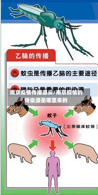 南京疫情传播源头/南京疫情的传染源是哪里来的-第1张图片