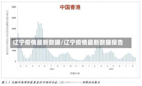 辽宁疫情最新数据/辽宁疫情最新数据报告-第2张图片