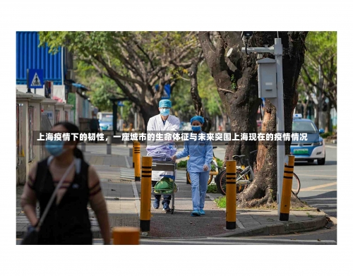 上海疫情下的韧性	，一座城市的生命体征与未来突围上海现在的疫情情况-第2张图片