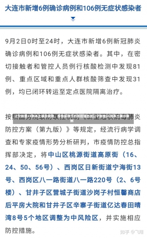 辽宁新增25例本土确诊病例，疫情反弹下的防控阻击战辽宁新增25例本土确诊病例-第1张图片