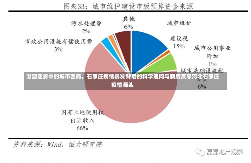 溯源迷雾中的城市困局，石家庄疫情暴发背后的科学追问与制度反思河北石家庄疫情源头-第2张图片