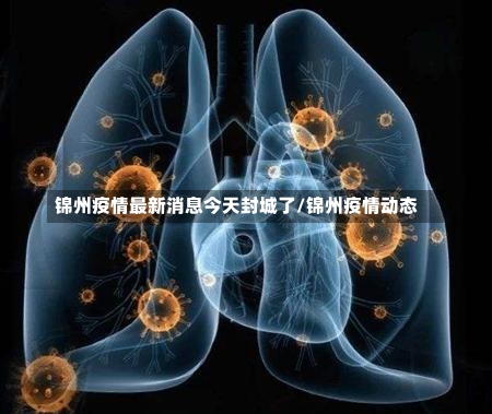 锦州疫情最新消息今天封城了/锦州疫情动态-第1张图片