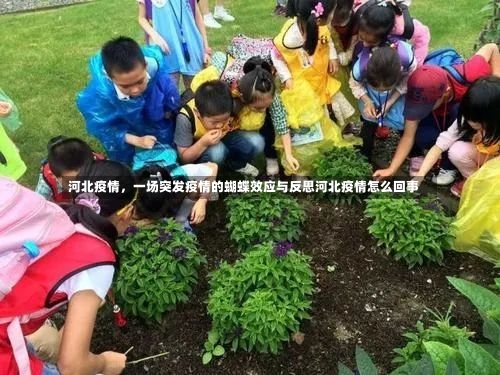 河北疫情	，一场突发疫情的蝴蝶效应与反思河北疫情怎么回事-第1张图片