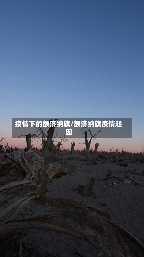 疫情下的额济纳旗/额济纳旗疫情起因-第3张图片