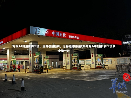 今晚24时油价将下调，消费者迎福利，行业格局暗藏变局今晚24时油价将下调多少钱一升-第2张图片