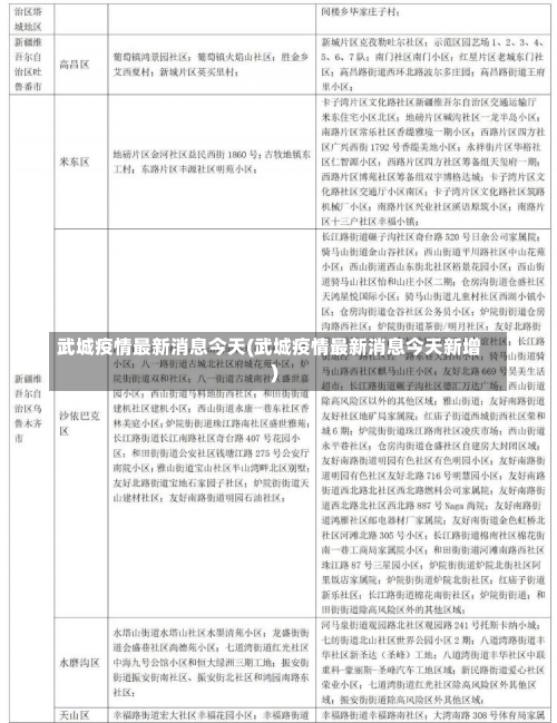 武城疫情最新消息今天(武城疫情最新消息今天新增)-第2张图片