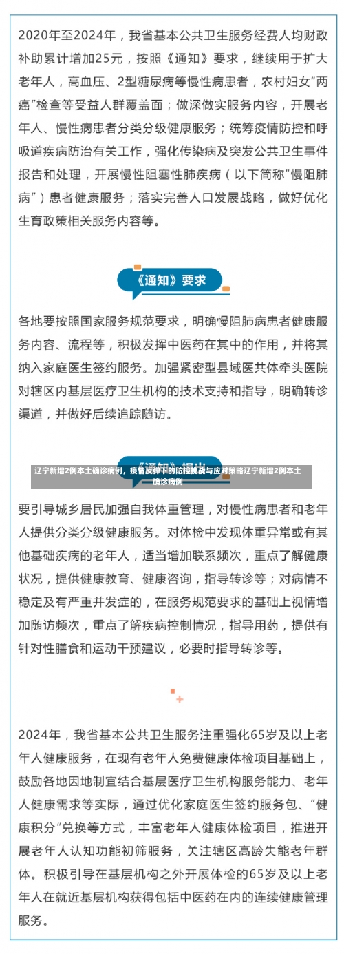 辽宁新增2例本土确诊病例	，疫情反弹下的防控挑战与应对策略辽宁新增2例本土确诊病例-第3张图片