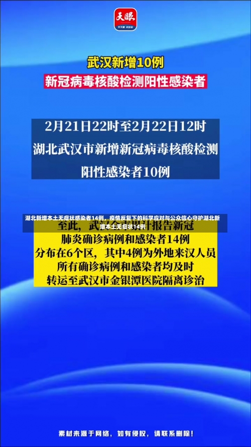 湖北新增本土无症状感染者14例，疫情反复下的科学应对与公众信心守护湖北新增本土无症状14例-第1张图片
