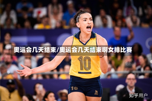 奥运会几天结束/奥运会几天结束啊女排比赛-第3张图片