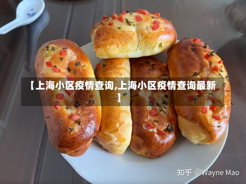 【上海小区疫情查询,上海小区疫情查询最新】-第1张图片