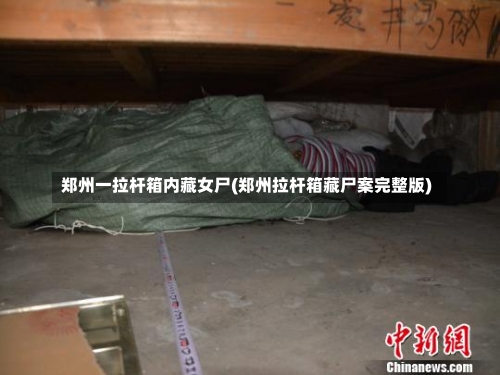 郑州一拉杆箱内藏女尸(郑州拉杆箱藏尸案完整版)-第2张图片