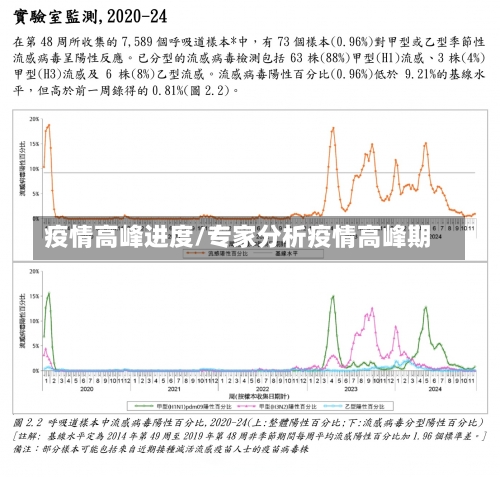 疫情高峰进度/专家分析疫情高峰期-第1张图片
