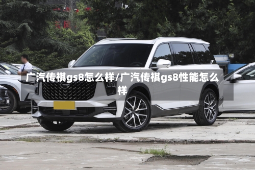 广汽传祺gs8怎么样/广汽传祺gs8性能怎么样-第1张图片