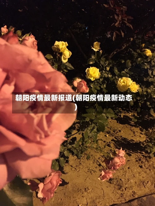 朝阳疫情最新报道(朝阳疫情最新动态)-第1张图片