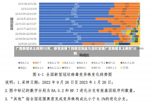 广西新增本土病例12例，疫情反弹下的防控挑战与应对策略广西新增本土病例12例-第3张图片