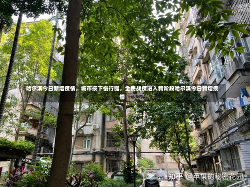 哈尔滨今日新增疫情	，城市按下慢行键，全民战疫进入新阶段哈尔滨今日新增疫情-第1张图片