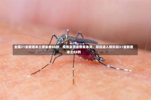 全国31省新增本土感染者88例，疫情呈现低散发态势	，防控进入新阶段31省新增本土88例-第2张图片