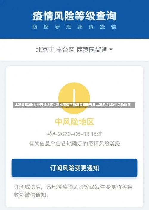 上海新增2地为中风险地区	，精准防控下的城市韧性考验上海新增2地中风险地区-第1张图片