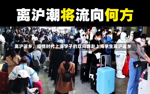 离沪返乡	，疫情时代上海学子的双向奔赴上海学生离沪返乡-第1张图片