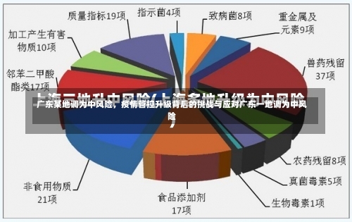 广东某地调为中风险，疫情管控升级背后的挑战与应对广东一地调为中风险-第1张图片
